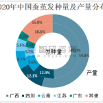 什么是桑蚕丝被？